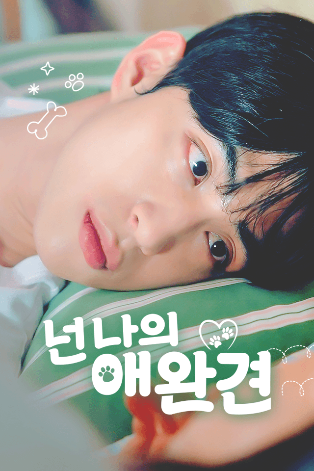 넌 나의 애완견