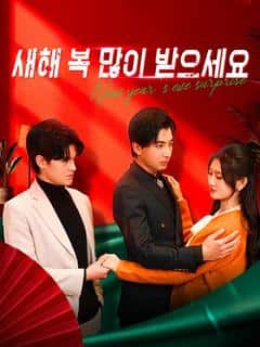 새해 복 많이 받으세요