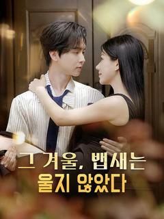그 겨울, 뱁새는 울지 않았다