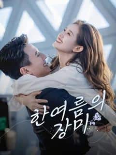 한여름의 장미